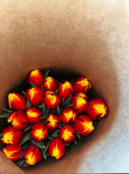 Живые Тюльпаны...