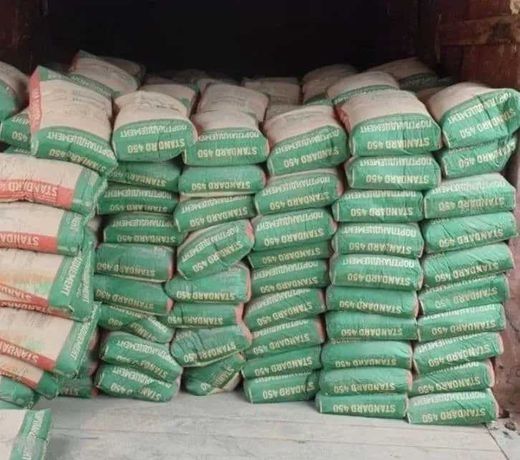 STANDARD 450 qog'oz qopda sifatli sement