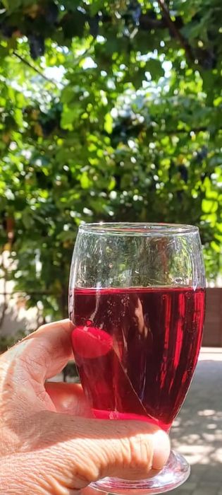 Vând struguri de vin calitate foarte bună Othel și roșioară