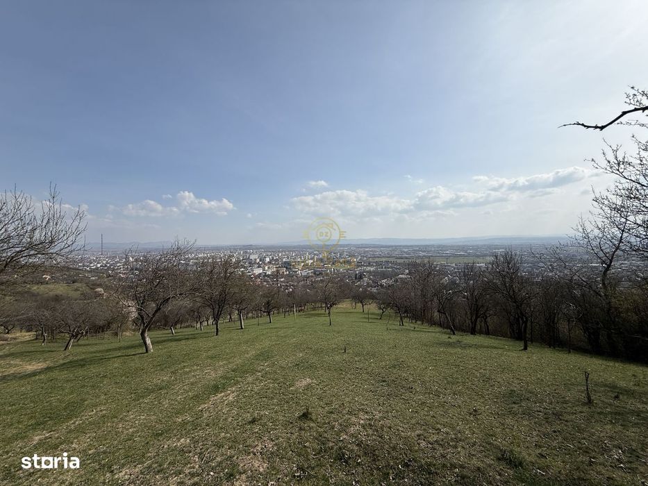 Oportunitate !Teren 1 Hectar Strada Nucului -Priveliste Panoramica