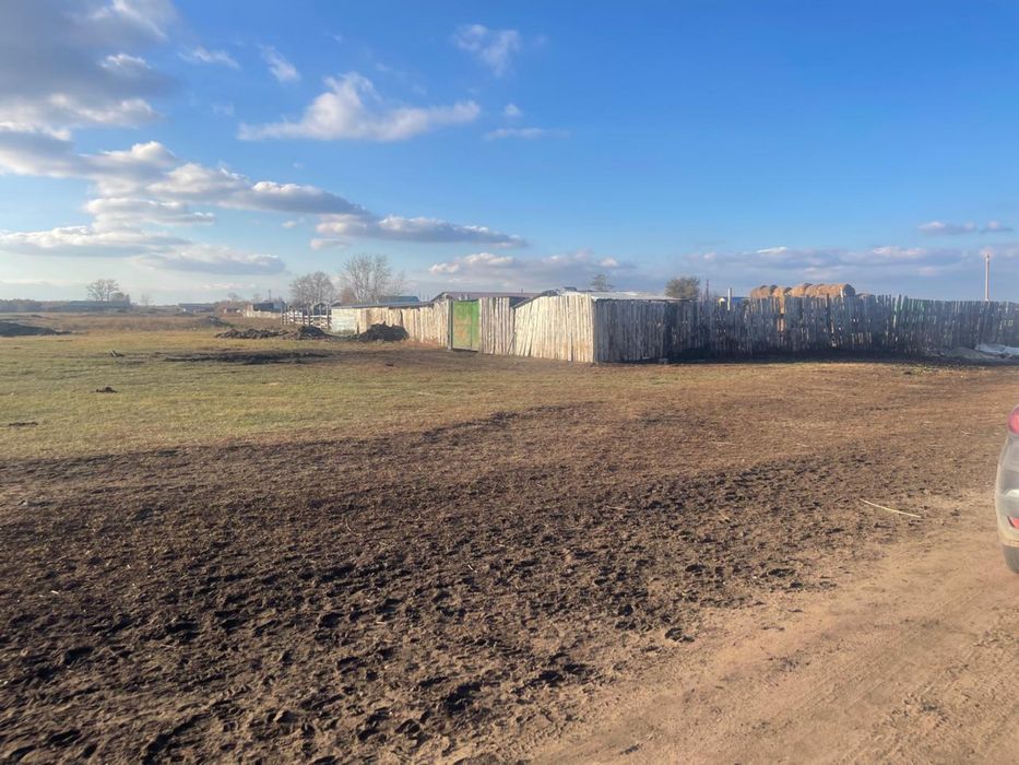 Продам земельный с.Осиновка