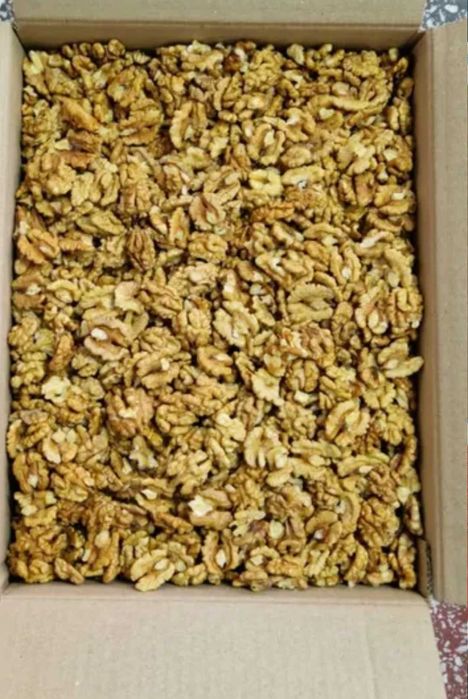 Орехи орехова ядка ядки