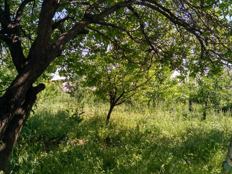 Продается ферма своя