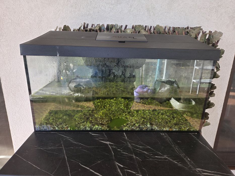 Acvariu pesti Aquael 60 cm (~54 L) cu capac LED + comodă