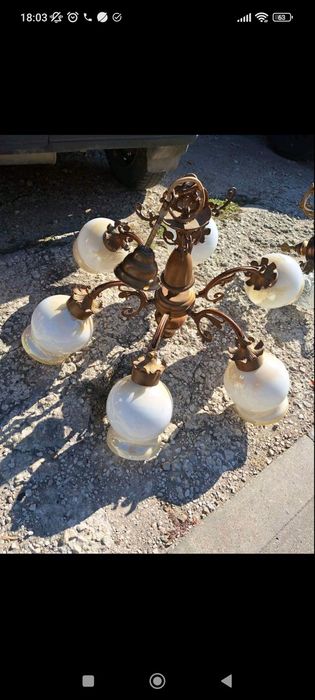 Полилей - 4 вида