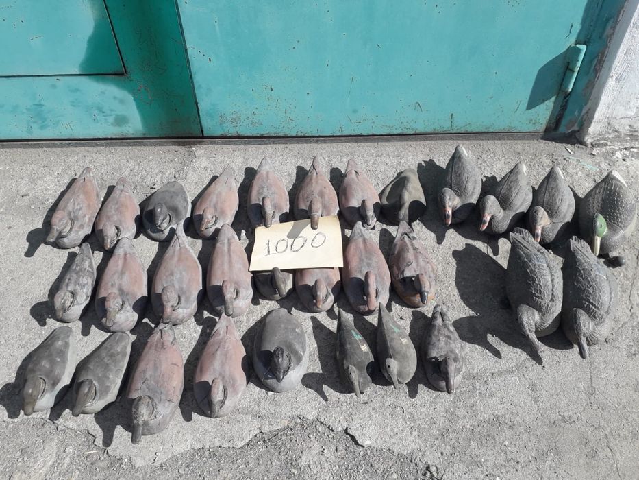 Утиные и гусиные чучела