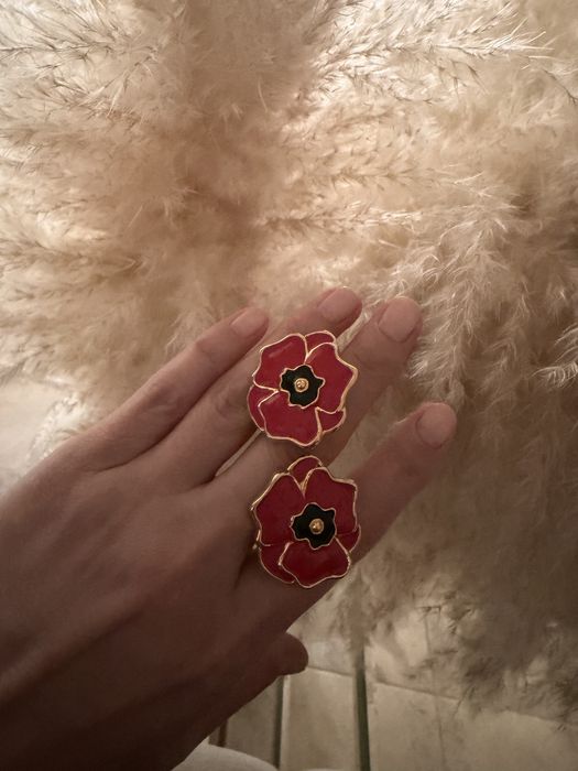 Клипсы и брошь Escada