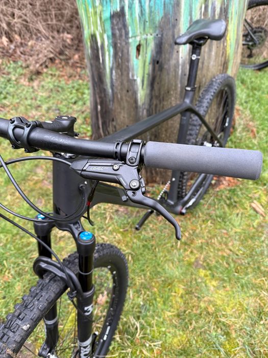 Canyon Exceed CF SL XL”29”