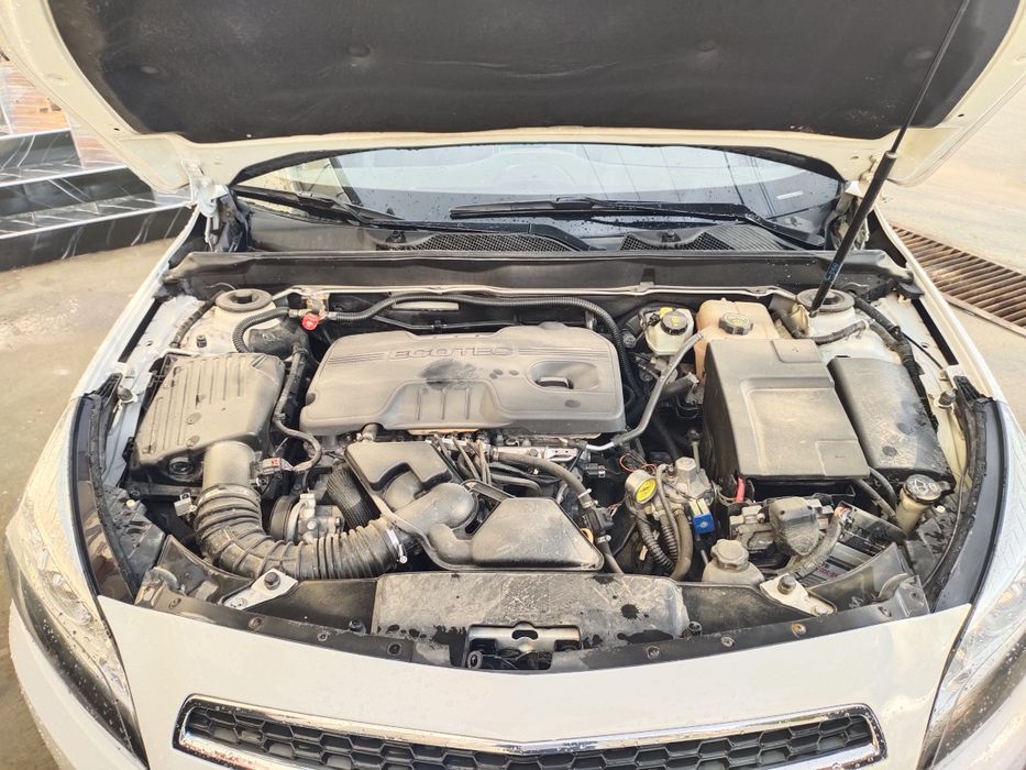 Malibu 1 (2 pozitsiya) 2014