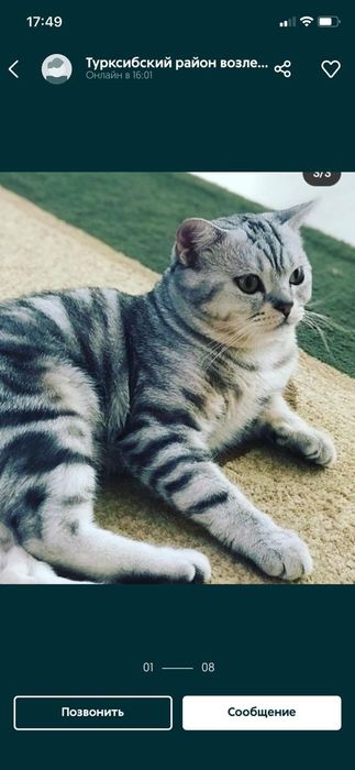 Вязка приглашаем невесту