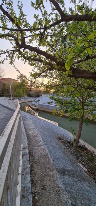 Зеленый оазис в городе — 2х комнатная квартира от собственника