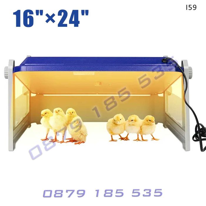 Топлилка нагревателен панел пилета домашни малки животни топлина