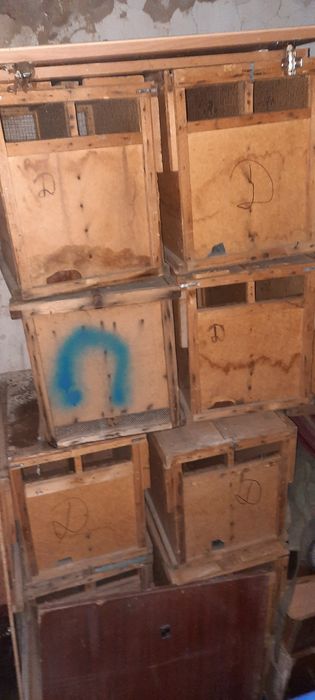 Пчела пакеты спареные