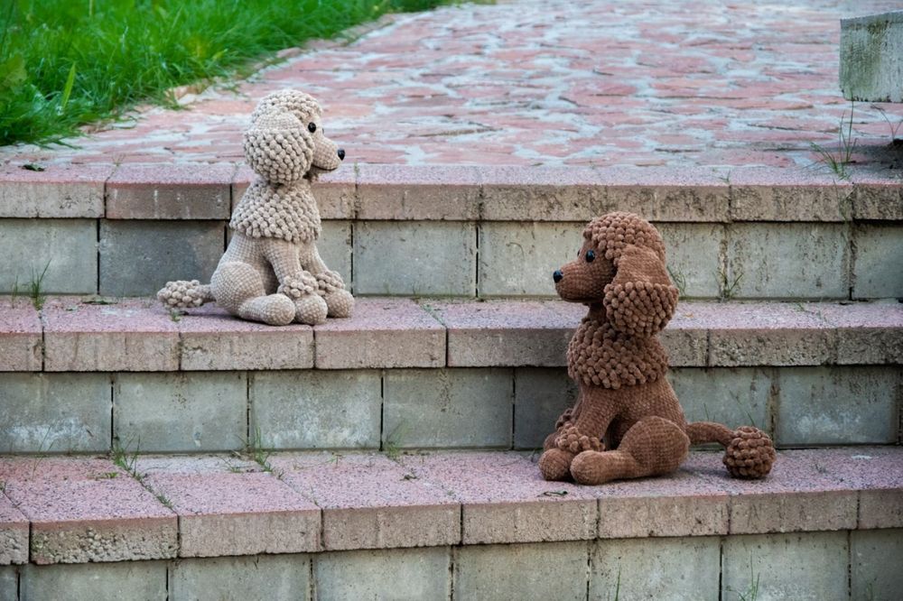 Кученце на една кука