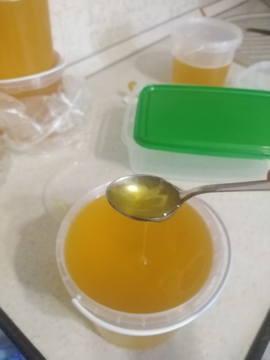 Продам мёд с личной пасеки