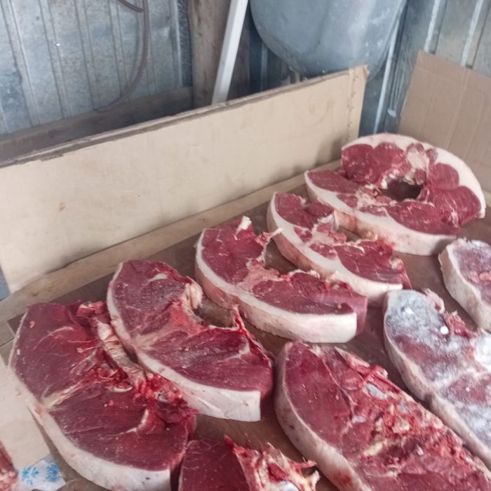 Продам мясо конина