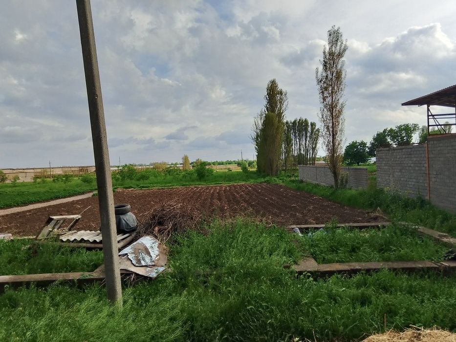 Uchastka zemlya.