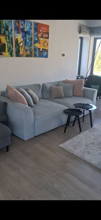 Canapea extensibila leon