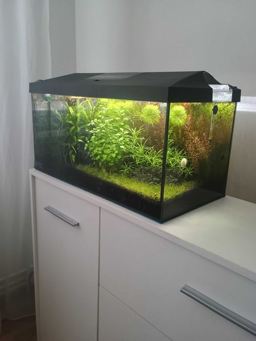 Acvariu 54L + Accesorii