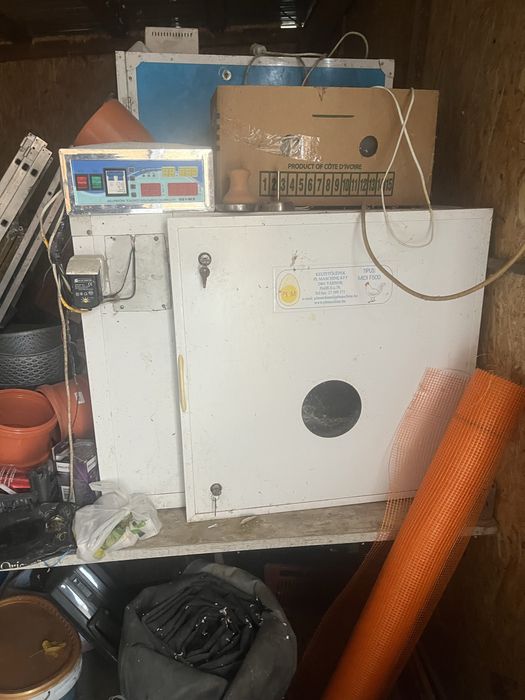 Vand incubatoare profesionale