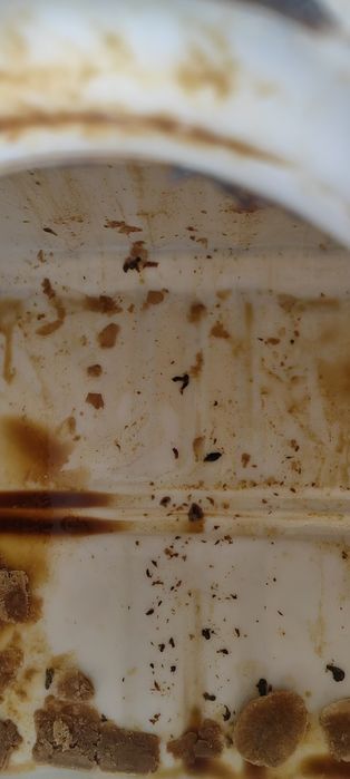 Еврокубы Бочки Емкости