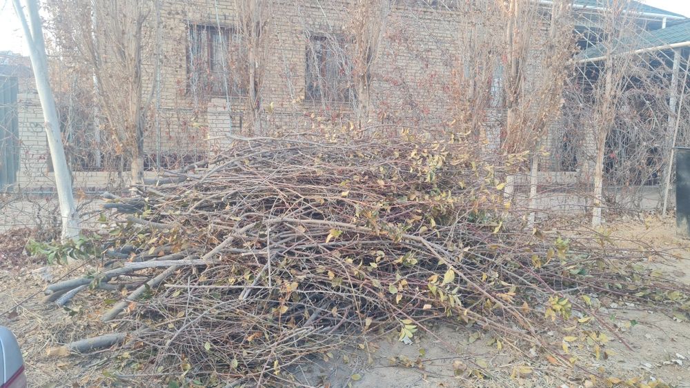 Отын тегин, дрова бесплатно