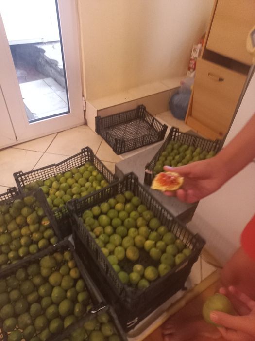 Vindem Smochine DULCI.