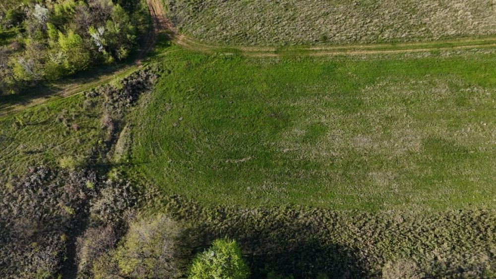 Продавам нива в село годец
нива 1 дек и