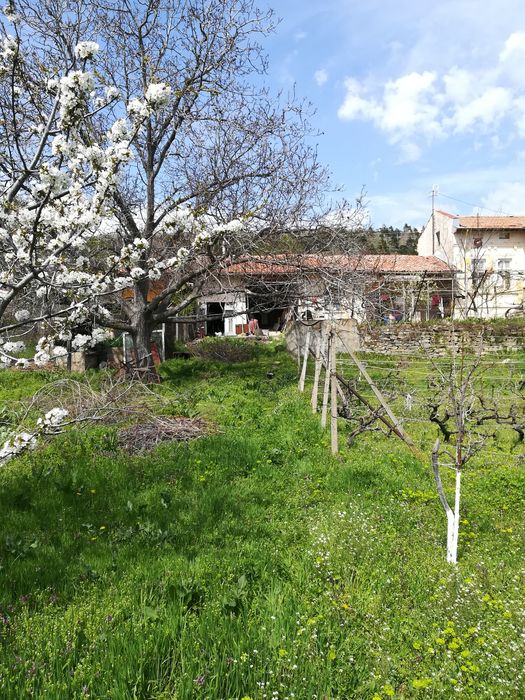 АВТЕНТИЧЕН имот с БИЗНЕС потенциал  с. Дълбоки, Старозагорско/ AUTHENTIC property with BUSINESS potential Dalboki village, Stara Zagora