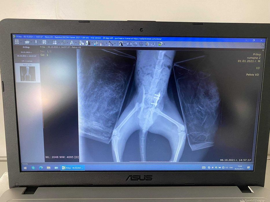 Ветеринарен CR рентген