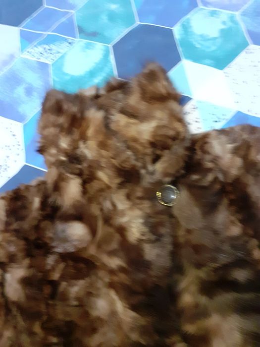 Естествено палто от визон