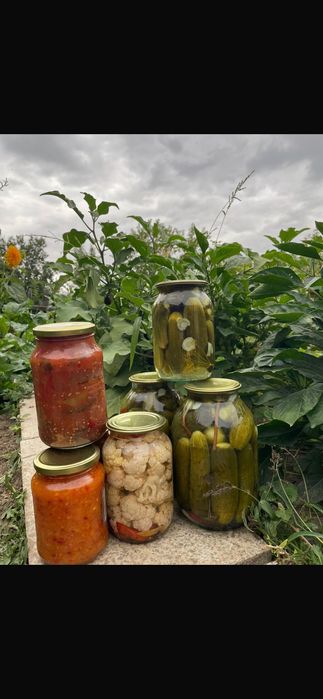 Домашние соленья