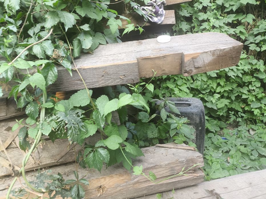 Шпалы, доски  бесплатно