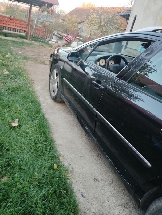 Vand Peugeot 407