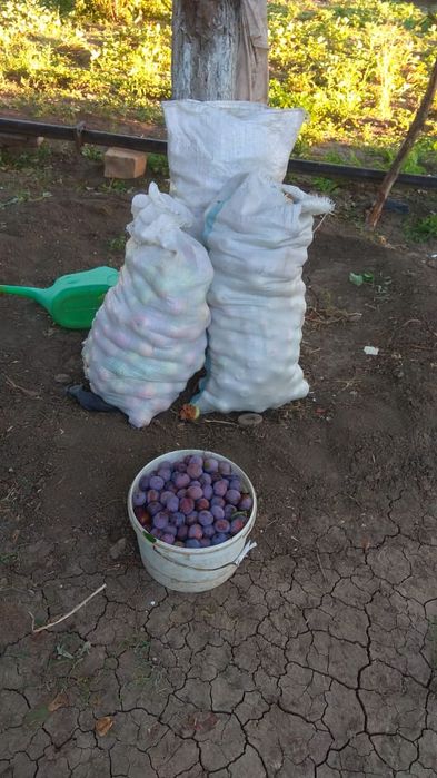 Продаётся  дачный участок п. Деркул