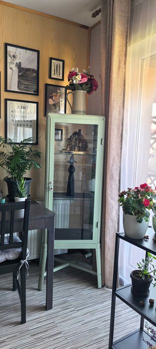 Vand vitrina Verde