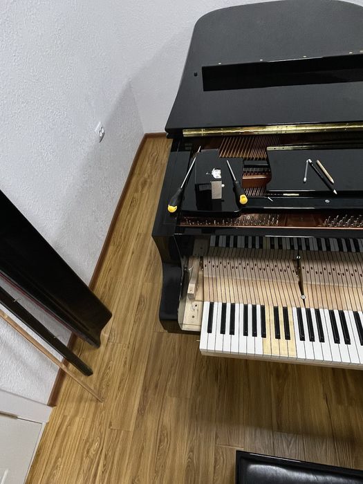 Профессиональная настройка Фортепиано.