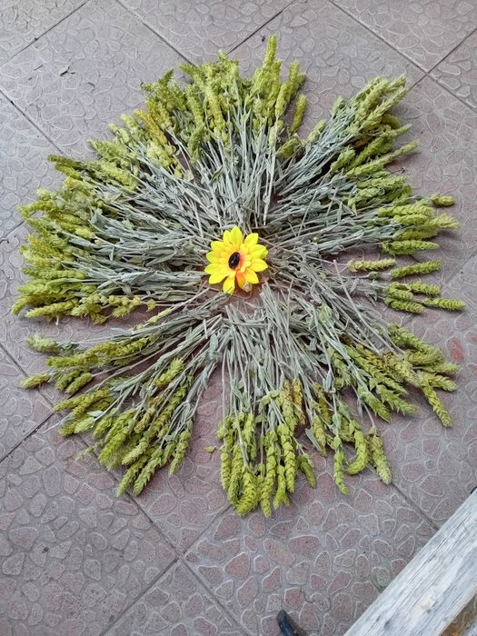 Био  мурсалски чай от  производител