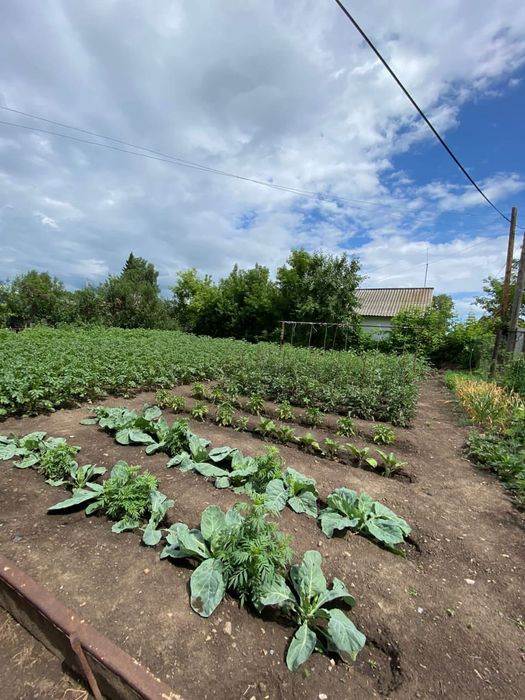Срочно продам дом, в самом центре.