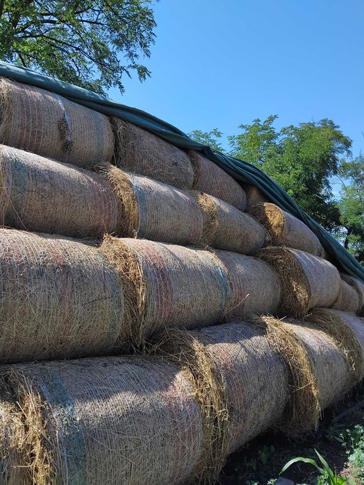 Vând Baloti LUCERNA