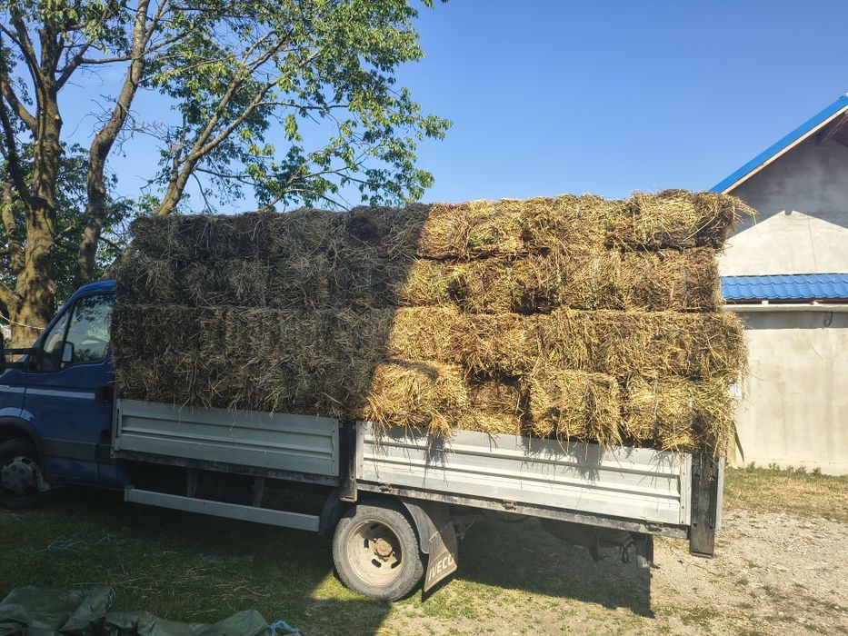 Baloti de lucerna de vânzare! 20 de lei balotul , asigur transport în toată Vrancea