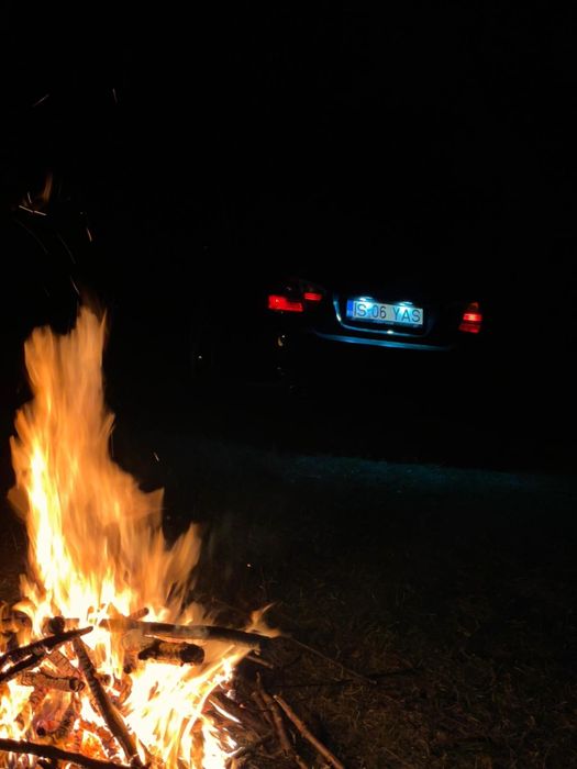 Bmw e90  320 .163cp m47