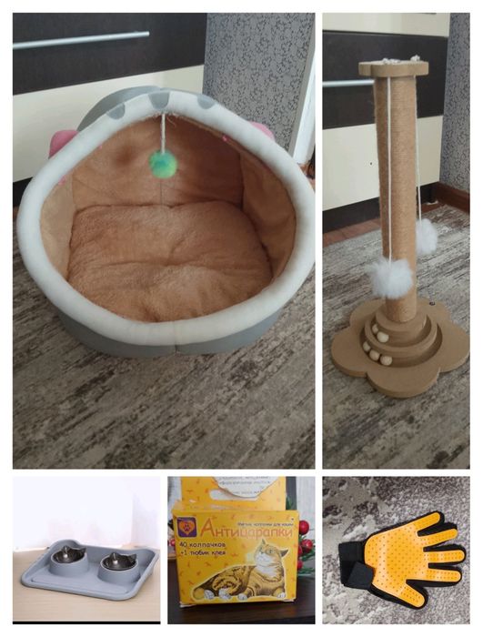 Продам аксессуары для кошки
