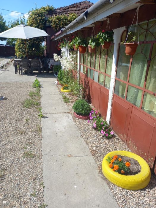 Vand Casa sat Greci comuna Osica de Sus