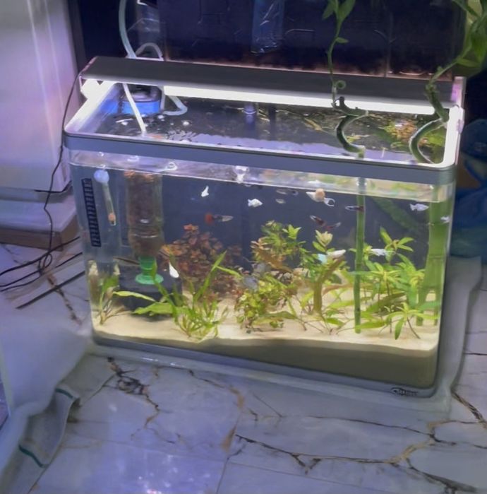 Заводской аквариум