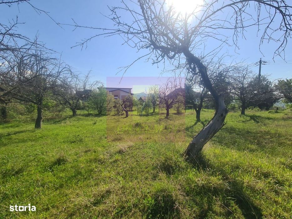 Teren de vanzare in Campina