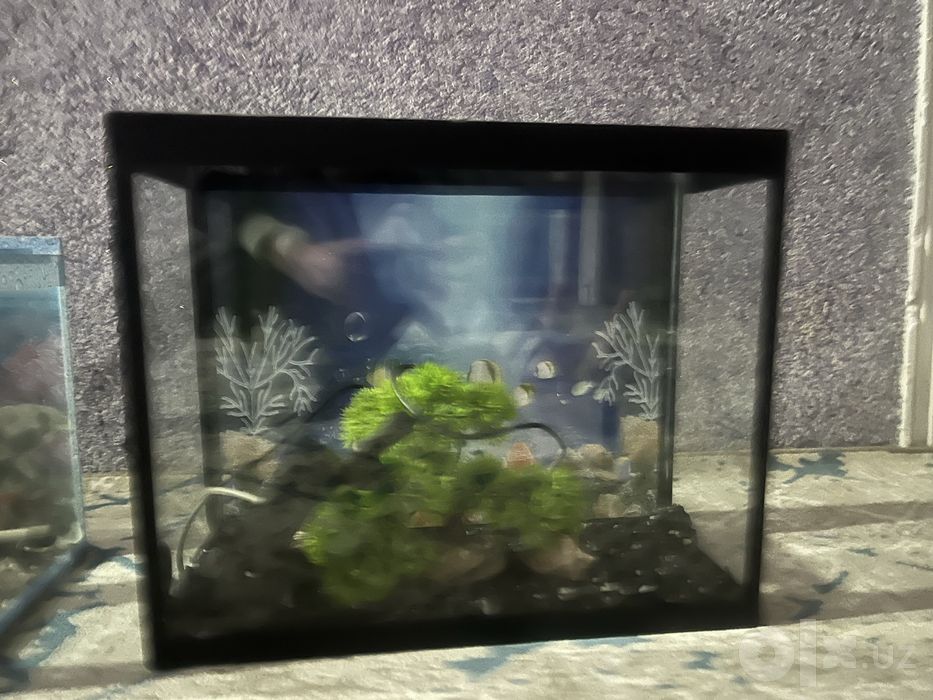 Akvarium sotiladi