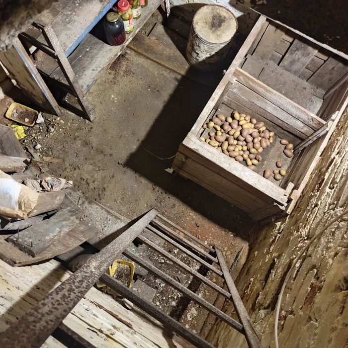 Гараж 13 общество