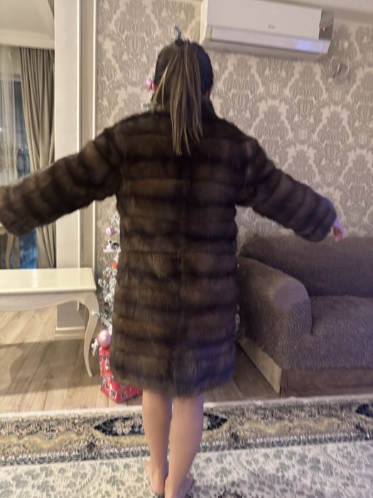 Продам дикий соболь