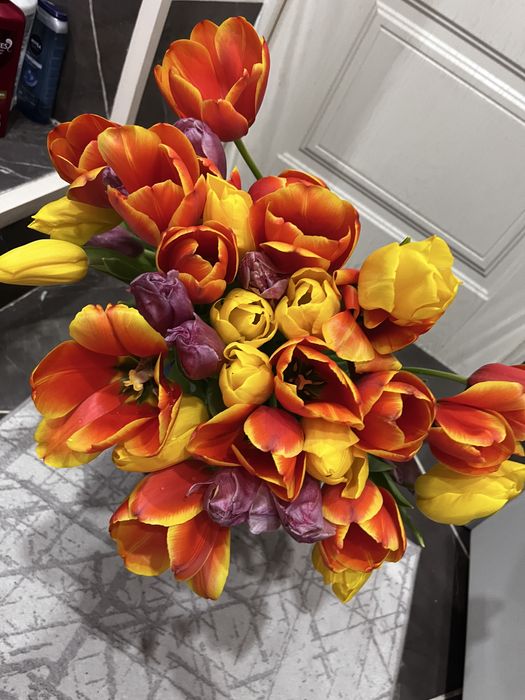 37  тюльпан продам за 7000 яндекспен сап жиберемин